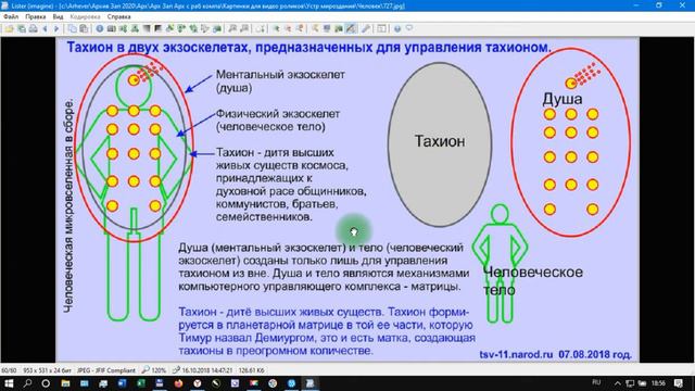 Грядущий царь Сергей-Тимур. Со старым мировоззрением не поймете критерии самостоятельного мышления. смотреть онлайн