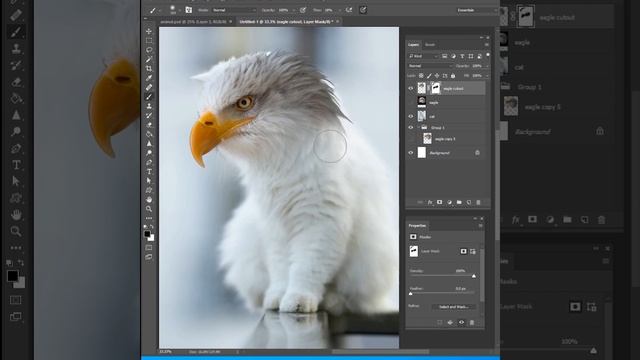 Photoshop Tutorial - Blend Animals смотреть онлайн