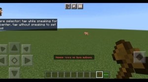 Обзор мода на WorldEdit: BE для Minecraft Bedrock!!!