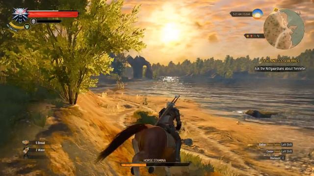 The Witcher 3: Wild Hunt Gameplay PC | 4 GB RAM | CORE 2 DUO | NVIDIA GEFORCE T 610 2GB DDR3 | смотреть онлайн