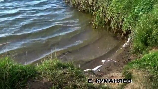 Подводная видеосъемка или не рой яму другому.