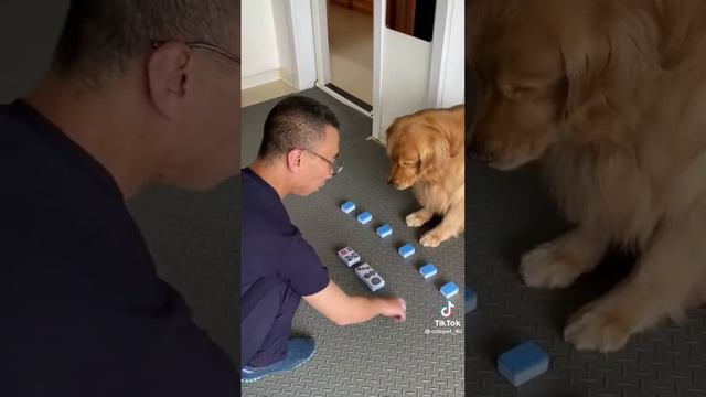 Dog 🐶 Play Majongs Game 🎯 смотреть онлайн
