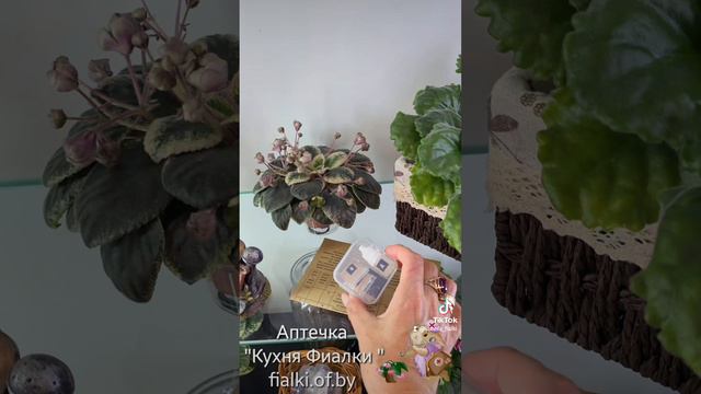 Аптечка " Кухня Фиалки "🐇 смотреть онлайн