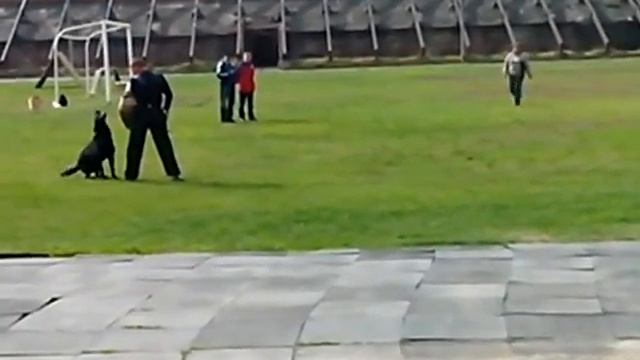 ЗКС САСТ Новосибирск 1 место 1 степень смотреть онлайн