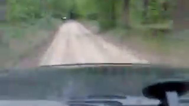 Сказка - Дубовый гай - Винница смотреть онлайн