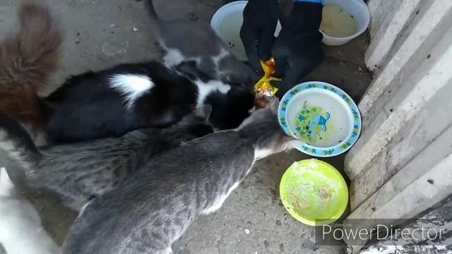 Случайная Встреча / я рада что могу помочь смотреть онлайн
