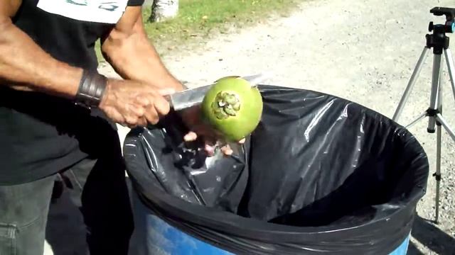 Coconut Man At Day Dream Event смотреть онлайн