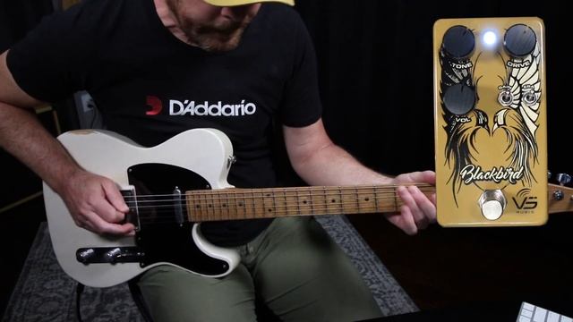 VS Audio Blackbird Overdrive | Fender '65 Blackface and '63 Brownface in a box! смотреть онлайн