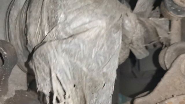 Чистота для каждого