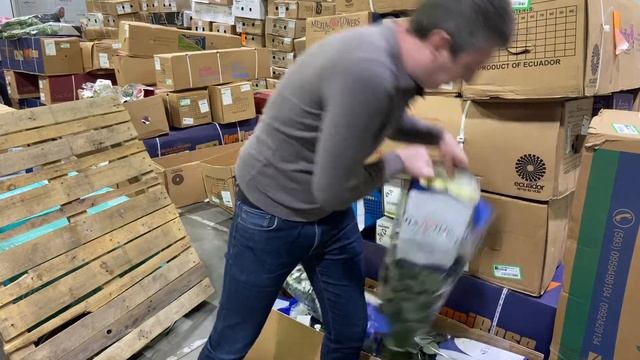 Обзор бюджетной плантации Mejia Flowers (Эквадор) | ЦВЕТЫ ОПТОМ смотреть онлайн