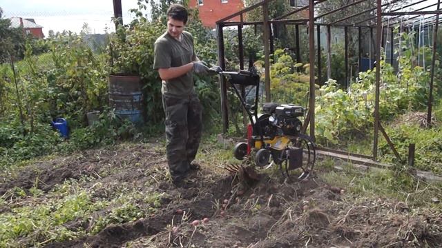 выпахивание картофеля смотреть онлайн