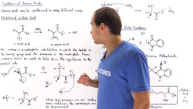 Synthesis Of Amino Acids