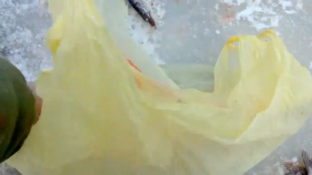 Нягань щука 24.10.15 смотреть онлайн