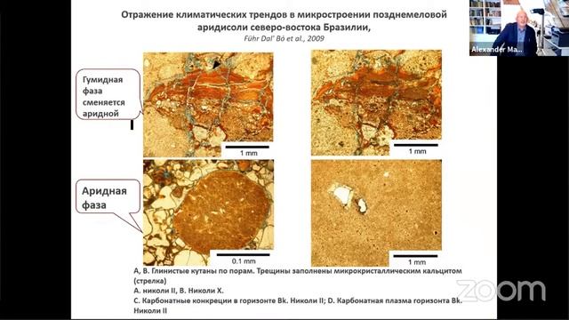 #3 А.О. Макеев. Палеопочвы в геологической истории Земли. Дочетвертичные палеопочвы. смотреть онлайн