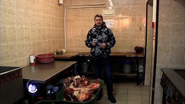 В зоопарке появился новый обитатель семейства кошачьих смотреть онлайн