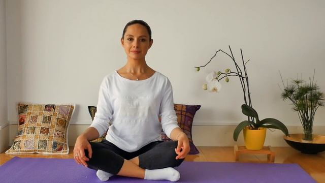 meditacion capitulo 1 смотреть онлайн