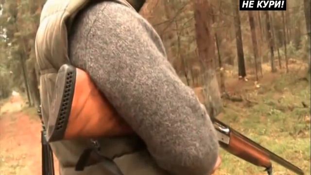 Загонная охота на копытных в Белоруссии. Тест ножей - 2021г смотреть онлайн