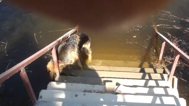 детство Цезаря Самара смотреть онлайн