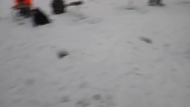 Рыбалка в Красногорске, Спортзона, онлайн смотреть онлайн