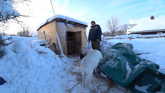 НАШИ МИЛЫЕ КОЗОЧКИ смотреть онлайн