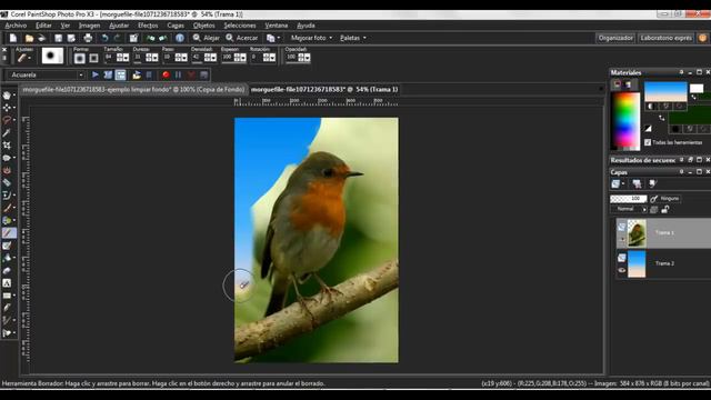 Paint Shop Pro - Quitar Fondo A Una Imagen