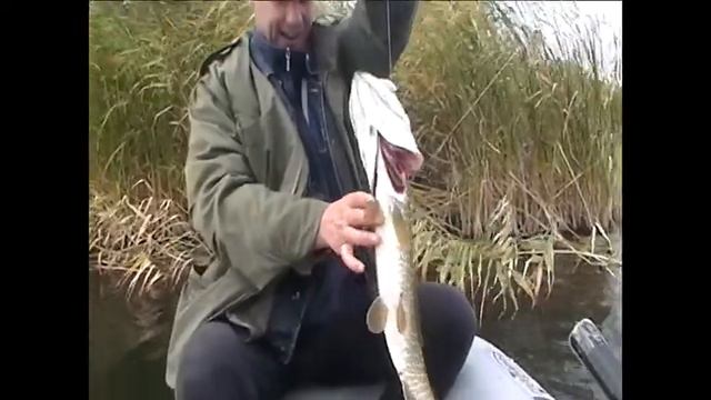 На природе-рыбалка....отдых...красота!!! смотреть онлайн