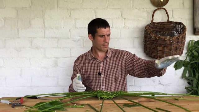 Плетём зелёную корзину | корзина из ивы | мастер-класс | простые советы для начинающих смотреть онлайн