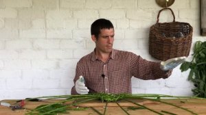 Плетём зелёную корзину | корзина из ивы | мастер-класс | простые советы для начинающих