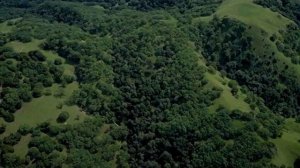 LG DVD Karaoke BGV (Part 4)(2004)