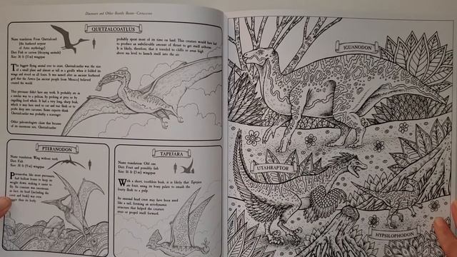 Flip Through Dinosaurs and Other Beastly Beasts: Facts to Discover, Pictures to Color Coloring Book смотреть онлайн