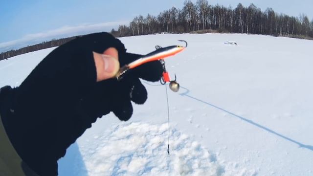 Хмелевка 22.02.2018  Жерлицы.