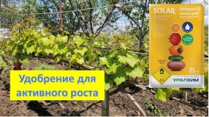 Весенняя подкормка винограда азотными удобрениями. Селитра кальциевая CaN₂O₆