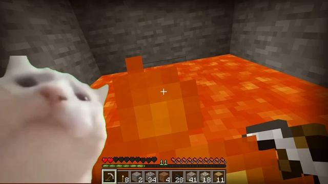 Coffin Meme But Cat Is Vibing - Minecraft