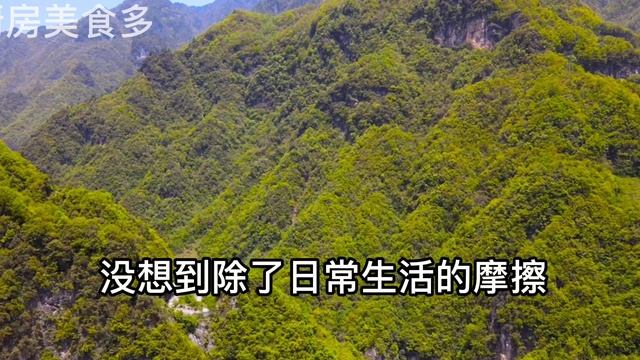 桑葉放在鍋里蒸一蒸，95歲老人的長壽秘訣，每天喝一杯，把病都喝走，精神好身體棒，【廚房美食多】 смотреть онлайн