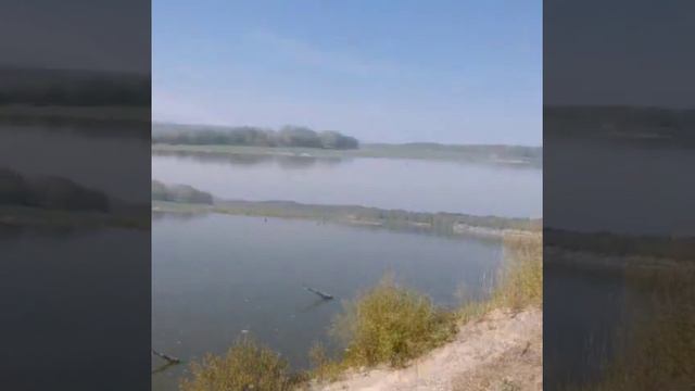 На Дону на Доне смотреть онлайн