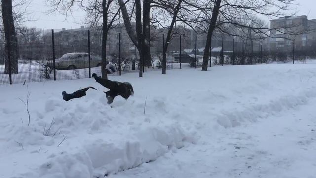 Кувырок Армии... смотреть онлайн