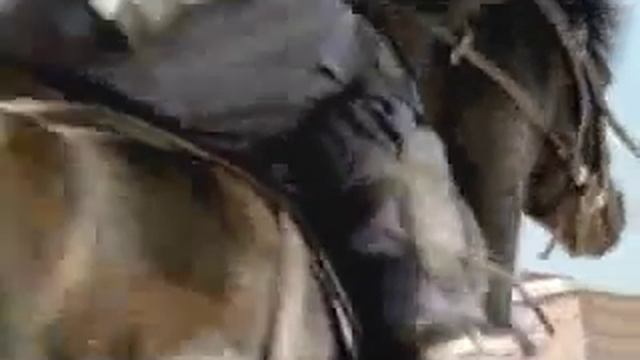 Чудовищное видео ¤ Skräckfilm ¤ ({+18}) смотреть онлайн