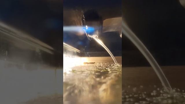 кошачья рыбалка вторая часть смотреть онлайн