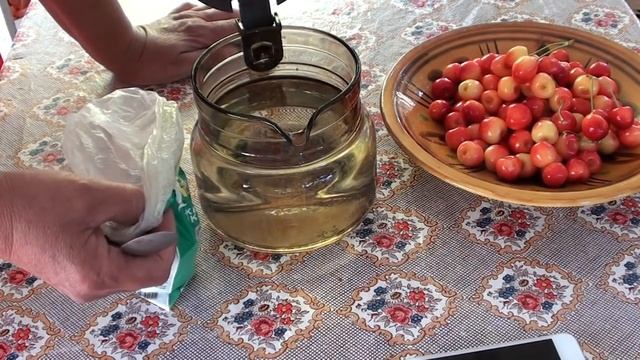 Хлороз гортензии. Чем лечить ? смотреть онлайн