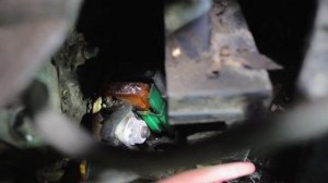 Renault Megane НЕ заводится, НЕ качает БЕНЗОНАСОС!