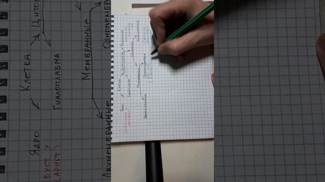 Биология ЕГЭ 2019 смотреть онлайн
