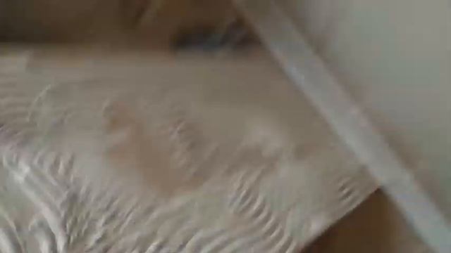 Внутренняя отделка смотреть онлайн