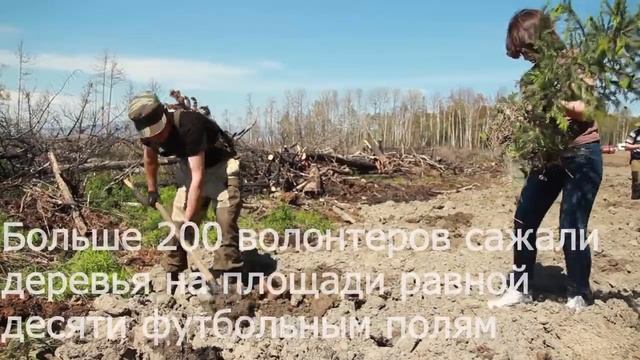 Посади дерево на Байкале! смотреть онлайн
