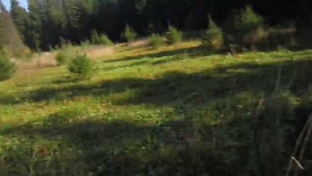 Мотоблок//лес//деревенская жизнь// смотреть онлайн
