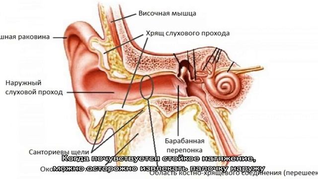 Как достать вату из уха смотреть онлайн