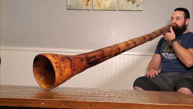 Agave didgeridoo in C# with a 7" bell смотреть онлайн