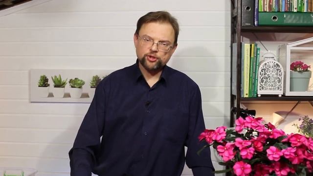 Как измерить кислотность почвы? смотреть онлайн