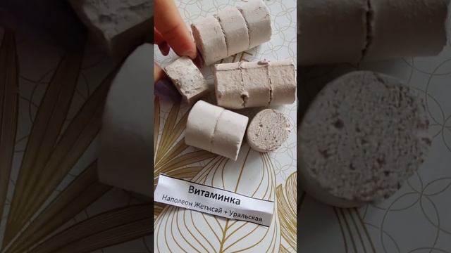 Витаминки Наполеон Жетысай+ уральская смотреть онлайн