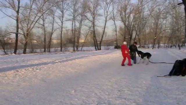 Срыв с привязи смотреть онлайн