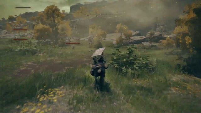 [VOD] Elden Ring en coop ! (Seamless Coop mod part 1) смотреть онлайн